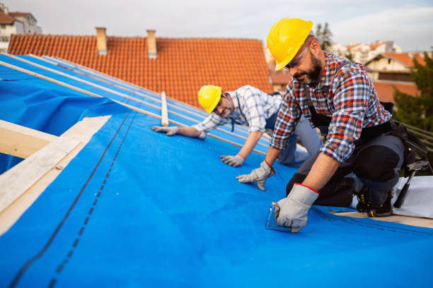 Fast & Reliable Emergency Roof Repairs in Forest Ranch, CA