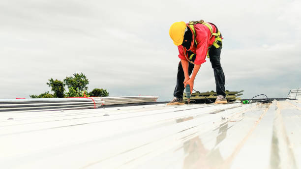 Best Chimney Flashing Repair  in Forest Ranch, CA