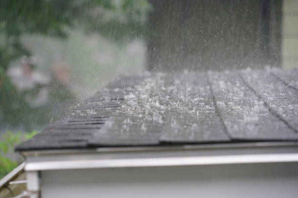 Waterproofing in Forest Ranch, CA