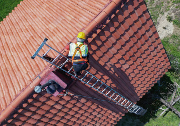 Best Gutter Installation and Repair  in Forest Ranch, CA
