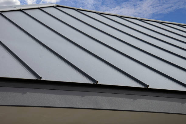 Best Roof Moss and Algae Removal  in Forest Ranch, CA